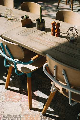 dining table green cactus with vase on brown wooden table furniture